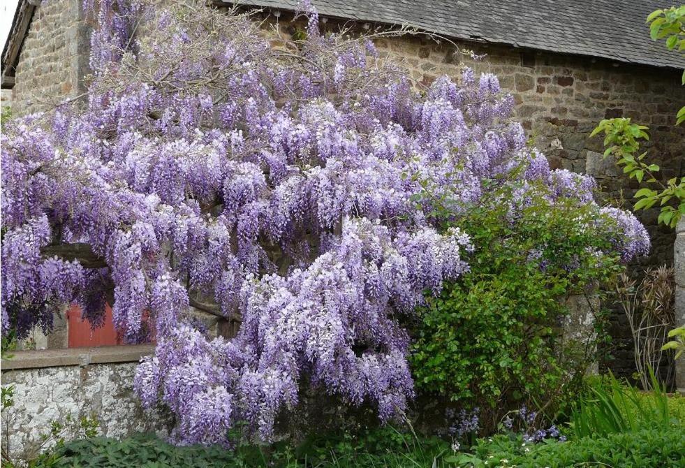 Le Clos Des Anges Dingé Kültér fotó